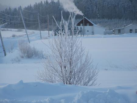 voil'hiver.....(suite)